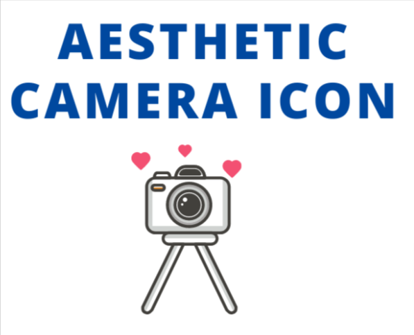 Aesthetic Camera Icon